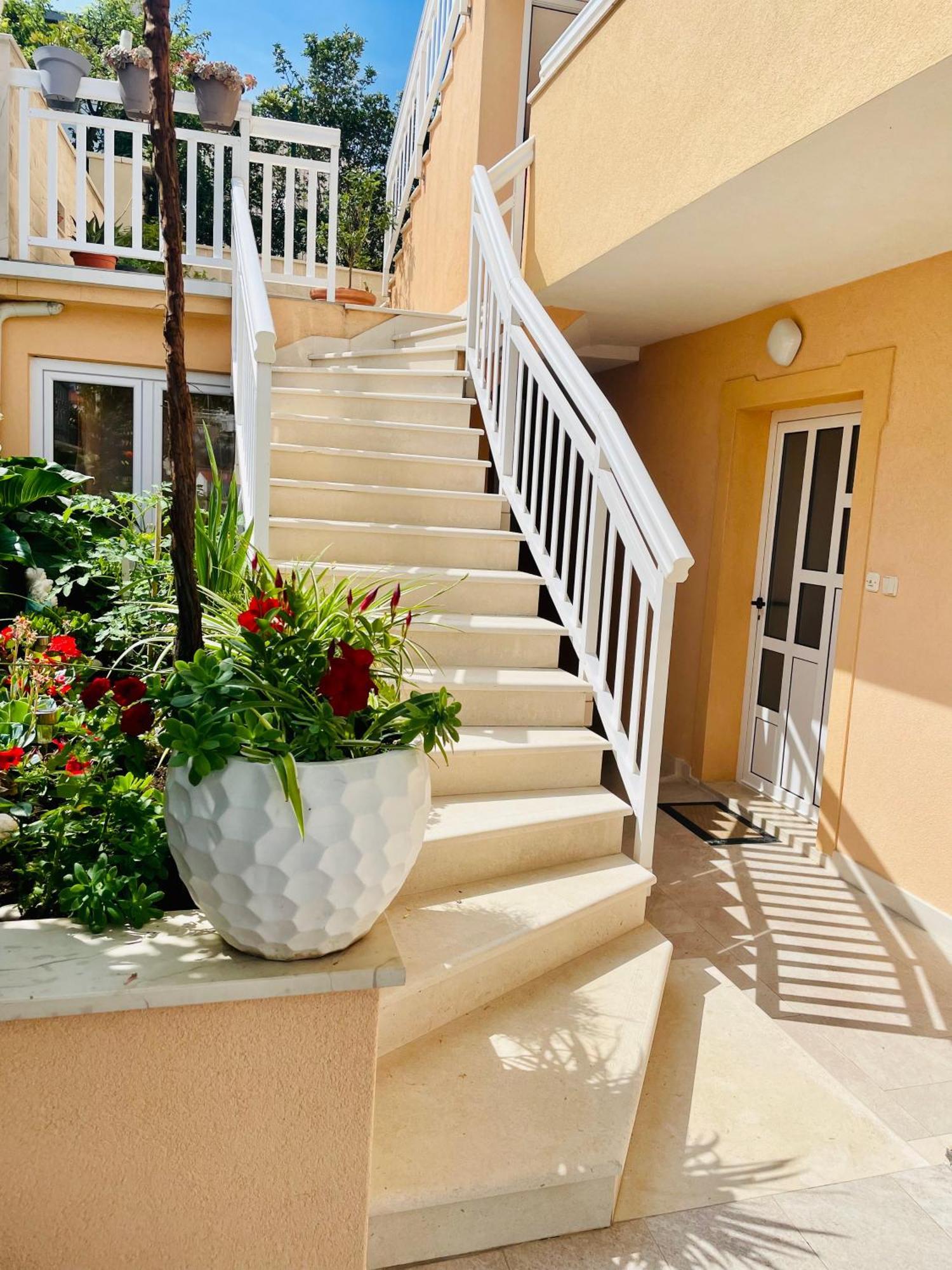 Apartment Sunny Elza *